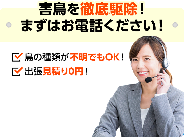 害鳥を徹底駆除！まずはお電話ください！ 鳥の種類が不明でもOK！出張見積り0円！