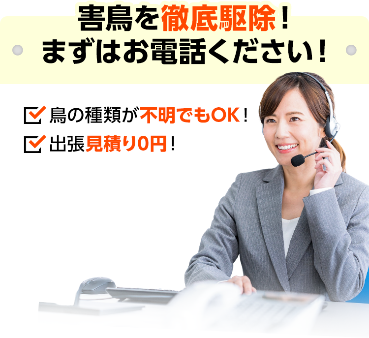 害鳥を徹底駆除！まずはお電話ください！ 鳥の種類が不明でもOK！出張見積り0円！
