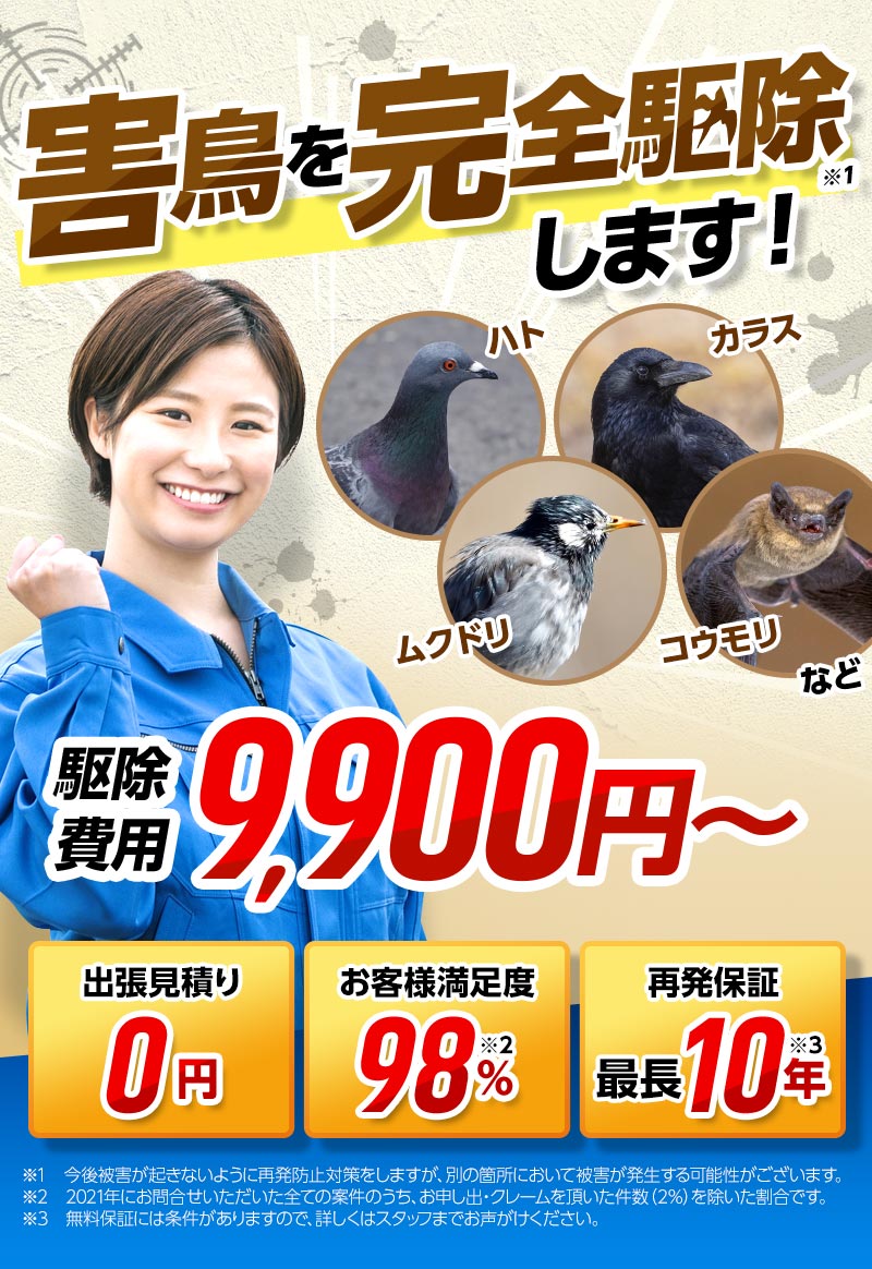 害鳥を完全駆除します! 駆除費用11,000円~ 出張見積もり0円 お客様満足度98% 再発保証最長10年