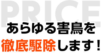 あらゆる害鳥を徹底駆除します!